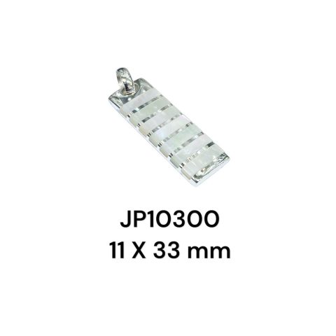 JP10300